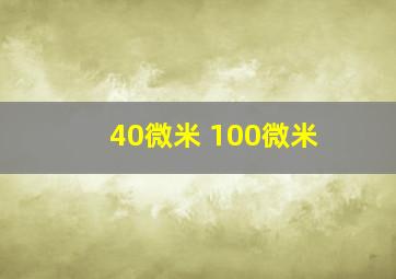 40微米 100微米